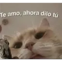 Te amo, ahora dilo tú ncantas