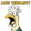 12DE VERDAD?!