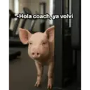 gym 7