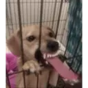 tiktok reactions 22