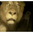 tiktok reactions 7