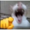 tiktok reactions 23