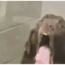 tiktok reactions 20