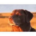 tiktok reactions 29
