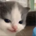 tiktok reactions 15