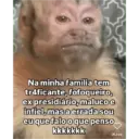 Minhas figurinhas 21