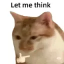 Ratita 10