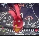 Animales xd 17