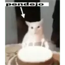 Animales xd 19
