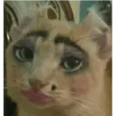 Animales xd 16