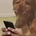 Reacciones de Tiktok 3😎 23