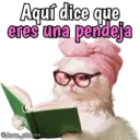 Animales con frases 💬 14