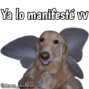 Animales con frases 💬 19