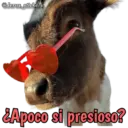 Animales con frases 💬 16