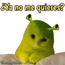Animales con frases 💬 22