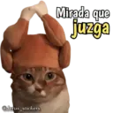 Animales con frases 💬 11