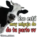 Animales con frases 💬 20
