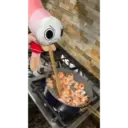 Memes dandys world 13