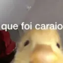 MELHORES MEMES ALEATÓRIOS 14