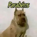 MELHORES MEMES ALEATÓRIOS 12