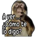 🐵Los de Septiembre/Memes🤣 5
