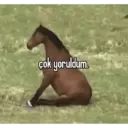 çok yoruldum.