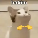 @borekpp bakim