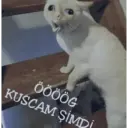 ÖÖÖÖG KUSCAM ŞİM