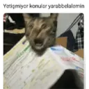 Yetişmiyor konular yarabbelalemin 100m