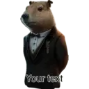 Capibara 20