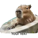 Capibara 5