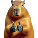 Capibara 21