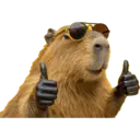 Capibara 19