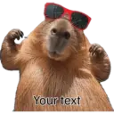 Capibara 23