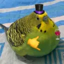 Sticker Image