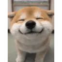 Mochi Smile