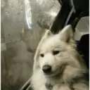 Window Mood