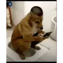 Phone Break