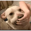 Memes tiktok 7