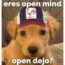 eres open mind OBE GATITOSYPERRITOS.POSTING open dejo? *