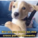 @Memescon.clona Bro es que ponte en mis crocs por un momento