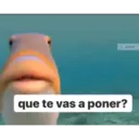 que te vas a poner? pachhk