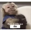 Pues al chile que rico