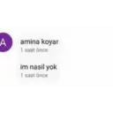 Aamina koyar 1 saat önce im nasil yok 1 saat önce