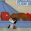 snoopy 5