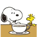 snoopy 15