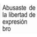 Abusaste de la libertad de expresión bro