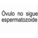 Óvulo no sigue espermatozoide
