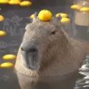 Capibara 🥰 9