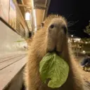 Capibara 🥰 7